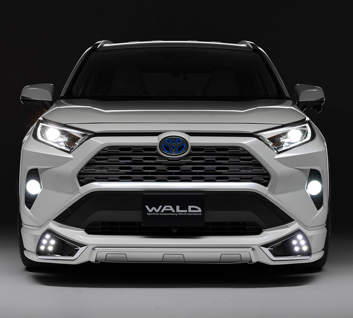 RAV4(AXHH52,MXAA54) WALD SPORTS LINE Chrome Garnish for Front Spoiler